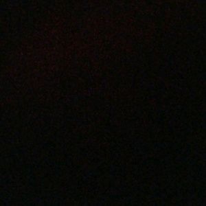 Meet your Posher, Cesar