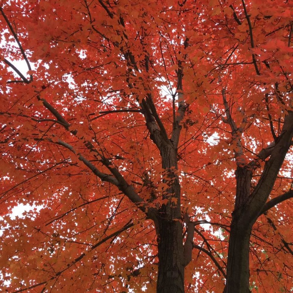 Meet your Posher, Eleanor