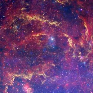 Meet your Posher, Kurt