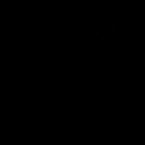 Meet your Posher, Katashia