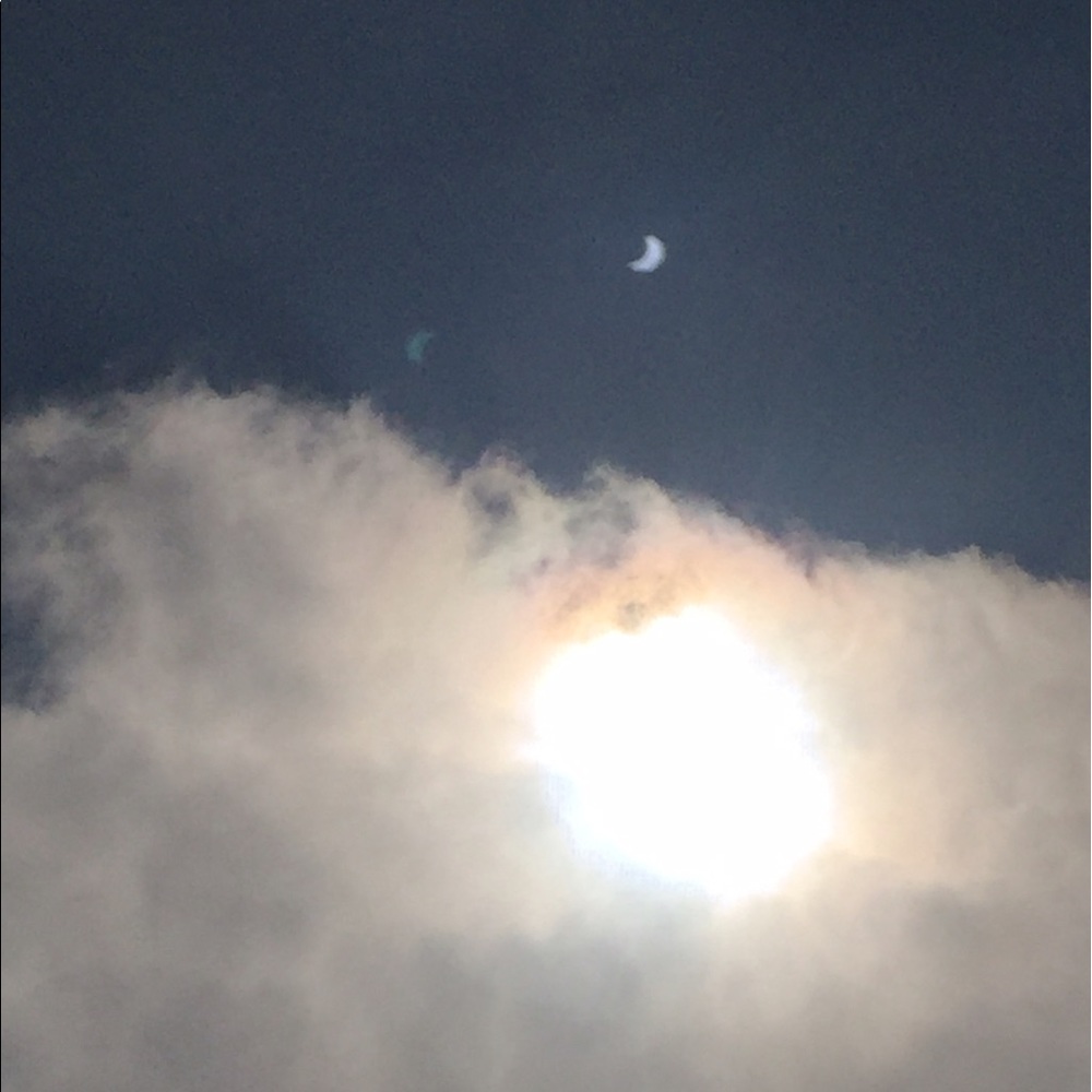 Meet your Posher, Cate