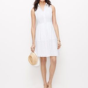 Ann taylor Sleeveless Eyelet Shirtdress