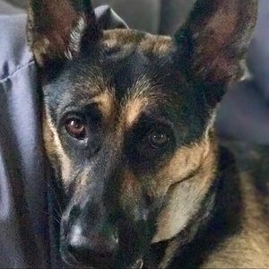 Meet your Posher, Juby