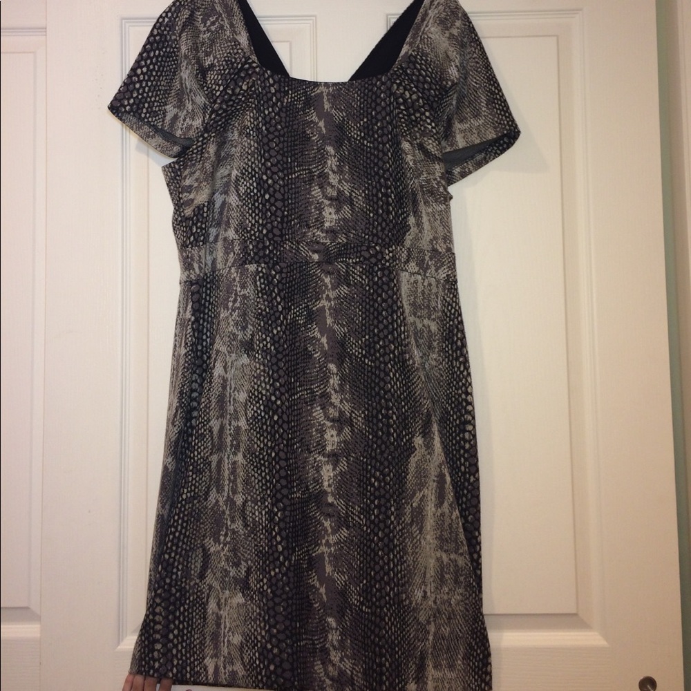 Jones New York Snake Skin Dress