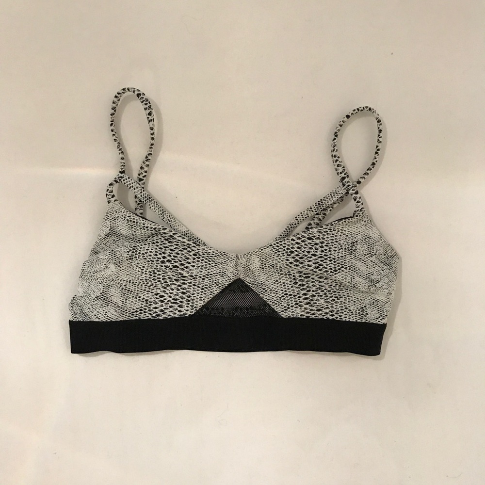 Planet Blue Sports Bra Size S