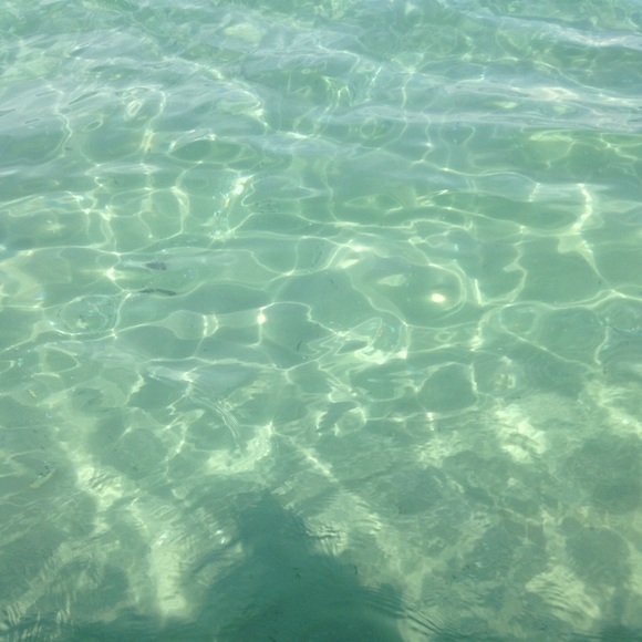 Meet your Posher, Lilly - Picture 1 of 1