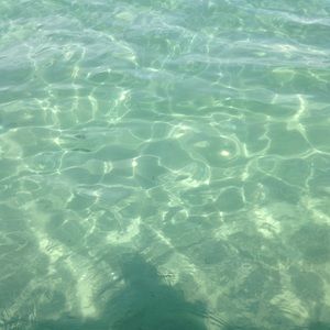 Meet your Posher, Lilly