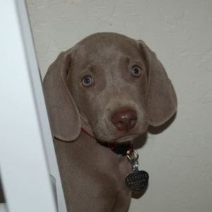 Meet your Posher, Tonya