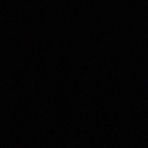 Meet your Posher, Brett