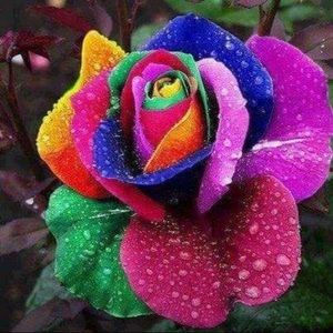 Meet your Posher, Holly