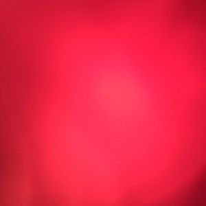 Meet your Posher, Dakota