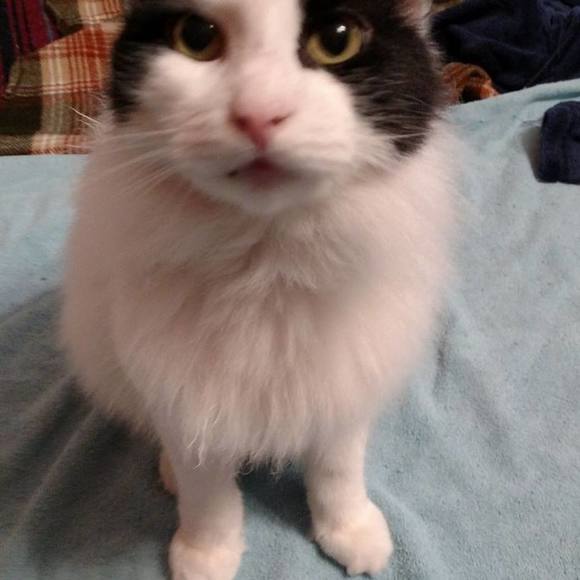 Meet your Posher, Jennifer - Picture 1 of 1