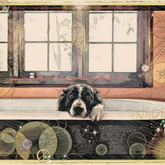 Meet Your Posher - Picture 8 of 8