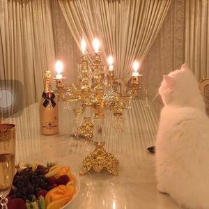 Meet your Posher, Ess