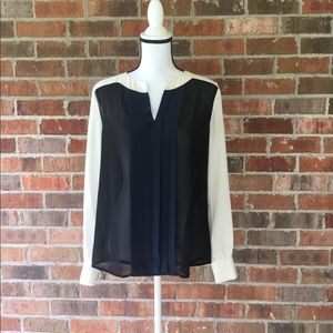 Sheer Blouse