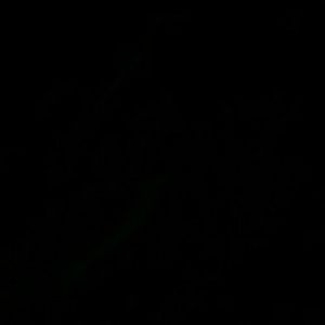 Meet your Posher, Tabitha