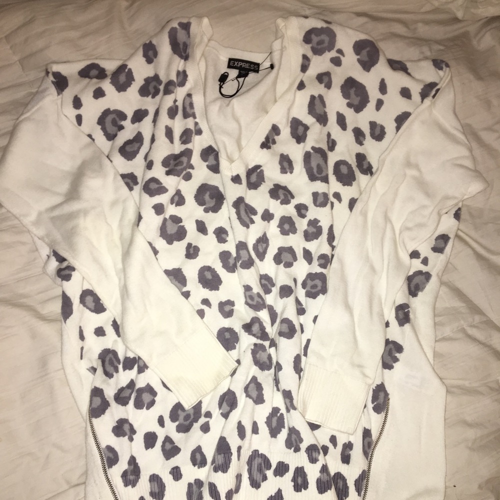 Express cheetah print sweater
