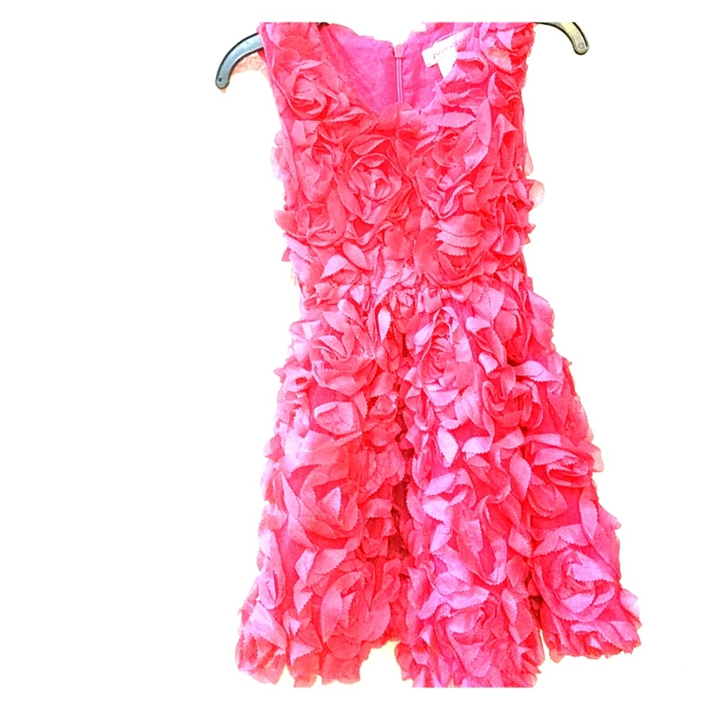 Paulinie Toddler dress, back zip