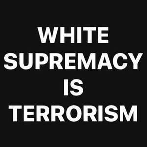 Meet your Posher, Sammy