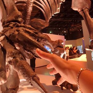 Meet your Posher, Hien