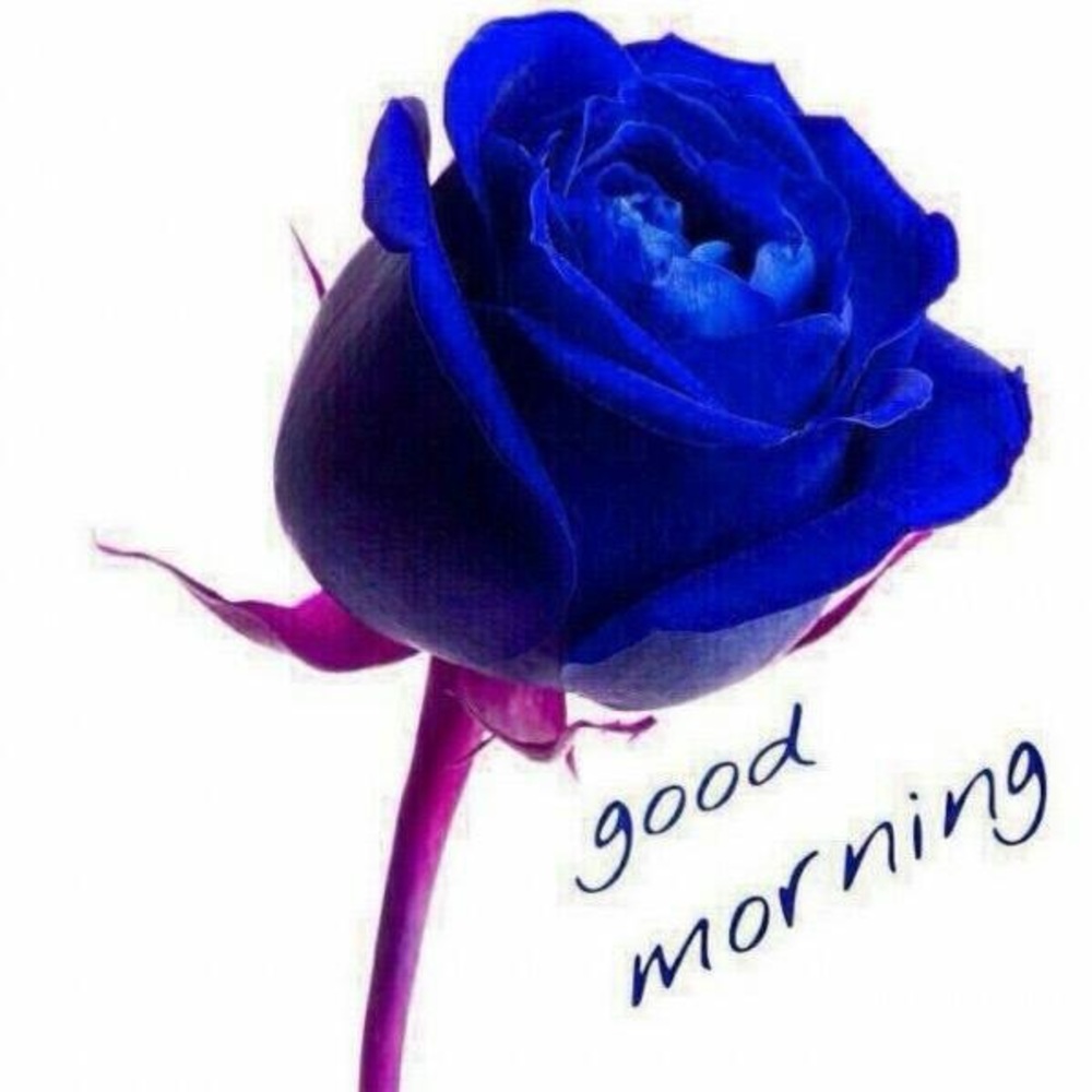 Meet your Posher, J.J.❤️❤️❤️