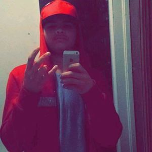 Meet your Posher, Avalon