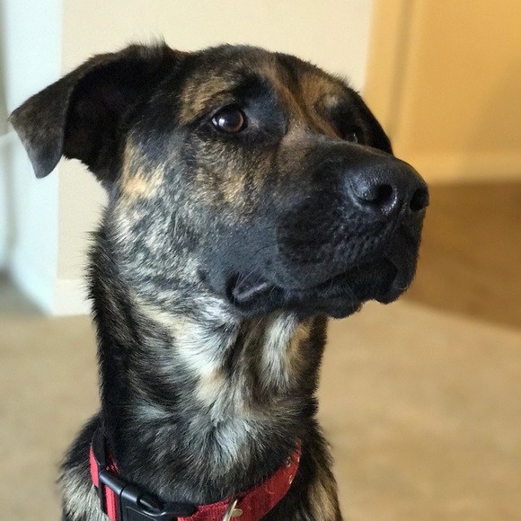 I'm Drea! - Picture 4 of 4