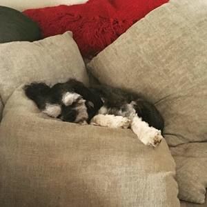 Meet your Posher, Tamie