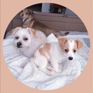 Meet your Posher, Harold