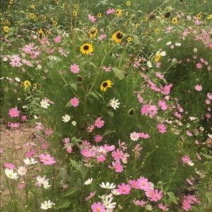 Meet your Posher, Donna