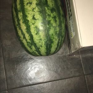 Meet your Posher, Sandy