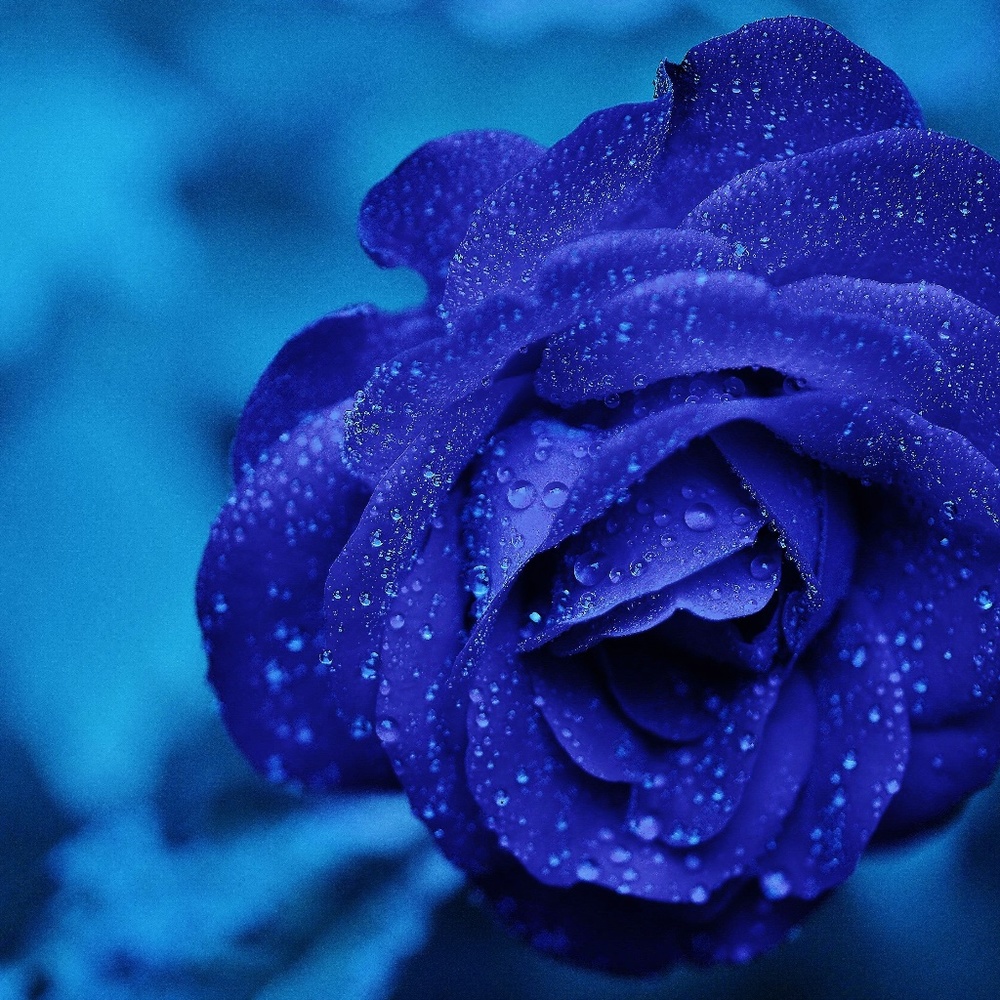 About me