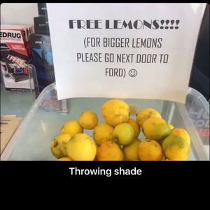 Meet your Posher, Cameron