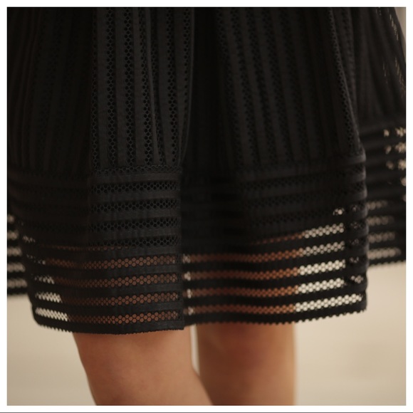 ✨LAST✨Black mesh circle skirt, fully lined - Picture 4 of 4