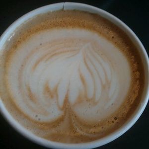 Meet your Posher, Izzy