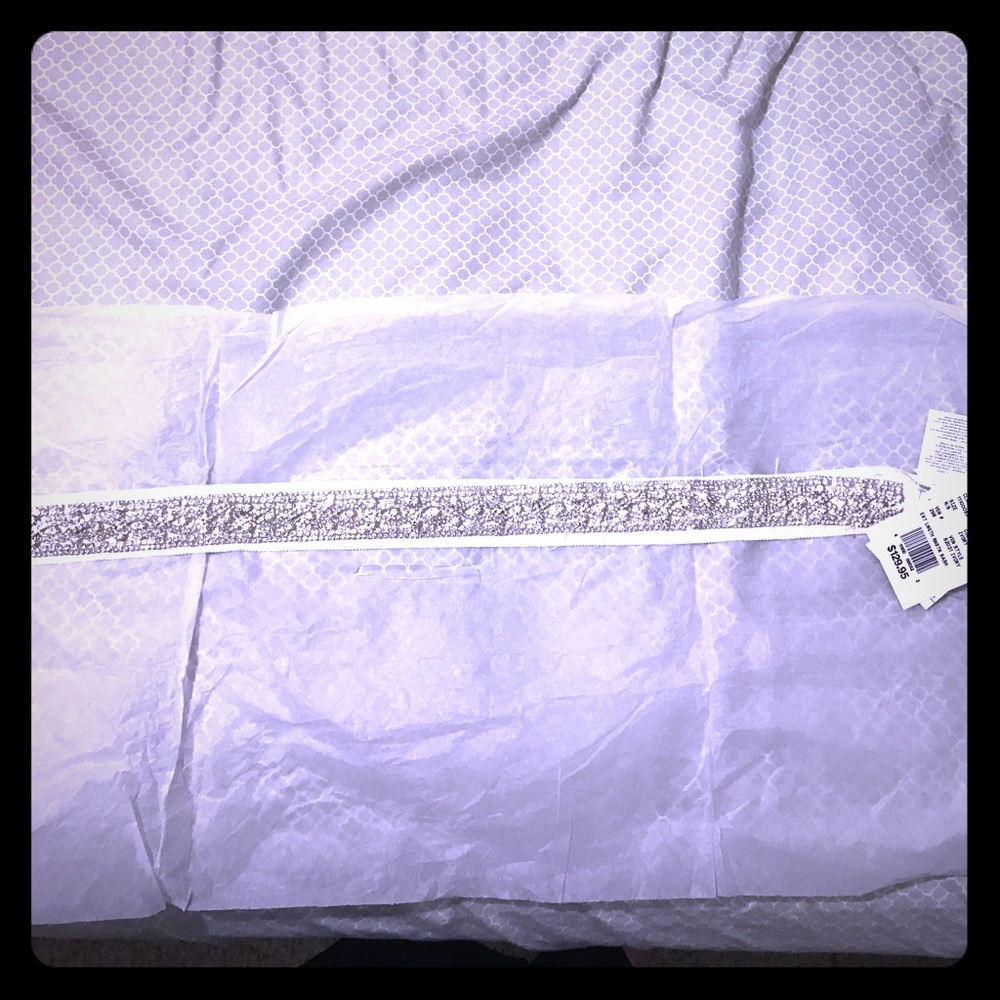 Bridal belt from Davids Bridal