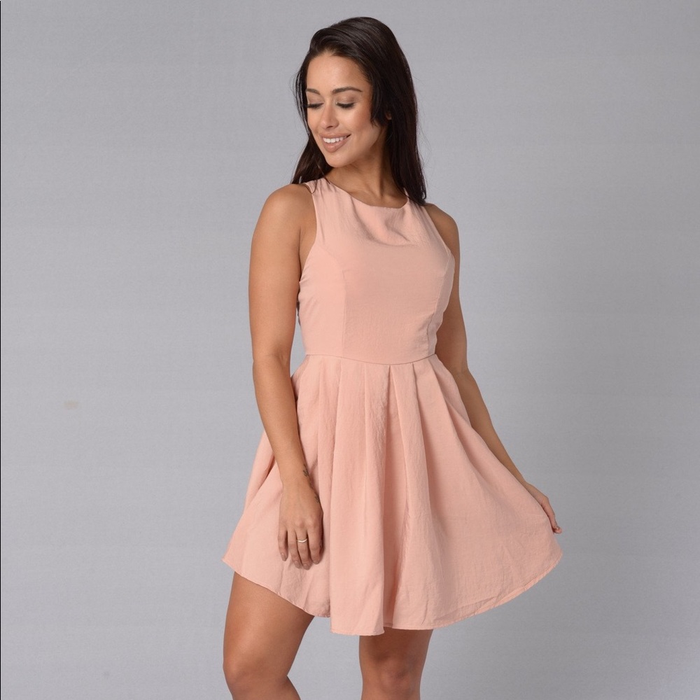 Fashion Nova Lisa Dress (Blush)