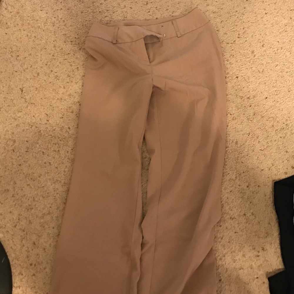 Size 6P dress pants