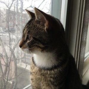 Meet your Posher, Luisa