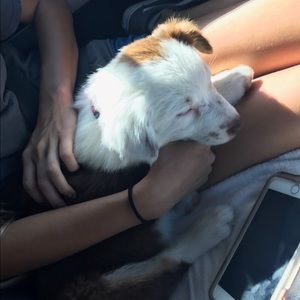 Meet your Posher, Kasey