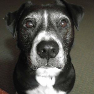 Meet your Posher, Adrienne