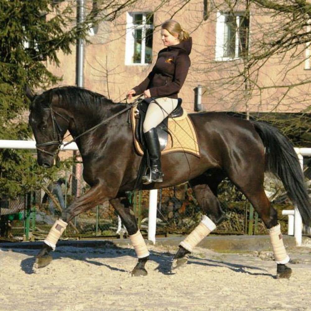 Meet your Posher, Marlena