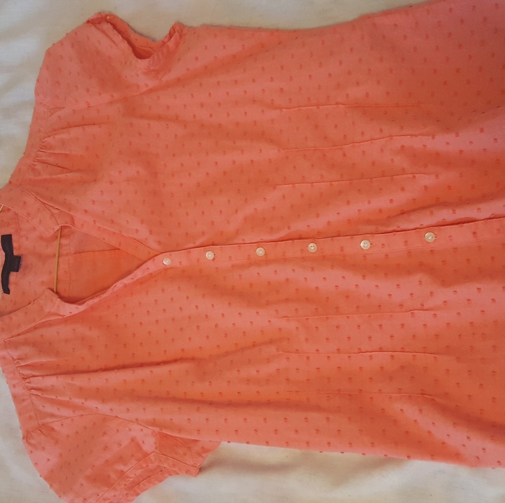 Button down textured dots short sleeve blouse