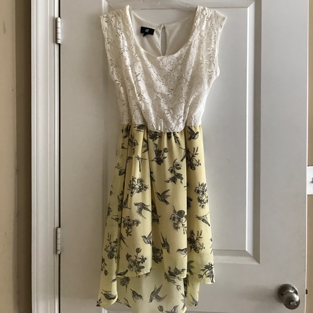 Lace and bird print High-Low dress