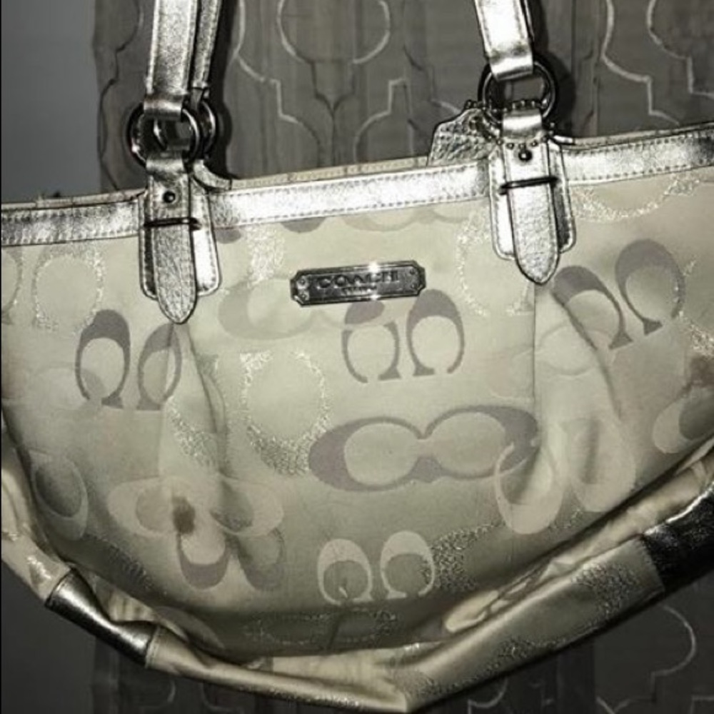 Silver Coach purse
