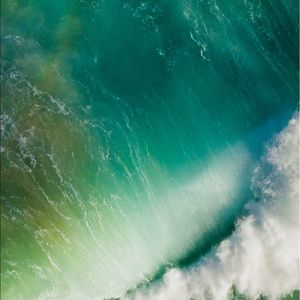 Meet your Posher, Avante