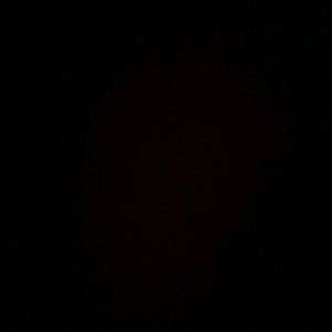 Meet your Posher, Louis