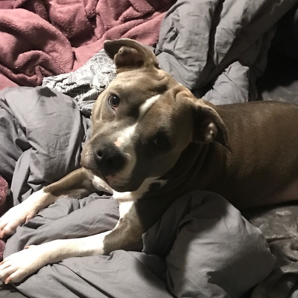 Meet your Posher, Ashley - Picture 5 of 5