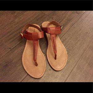 Fossil sandals