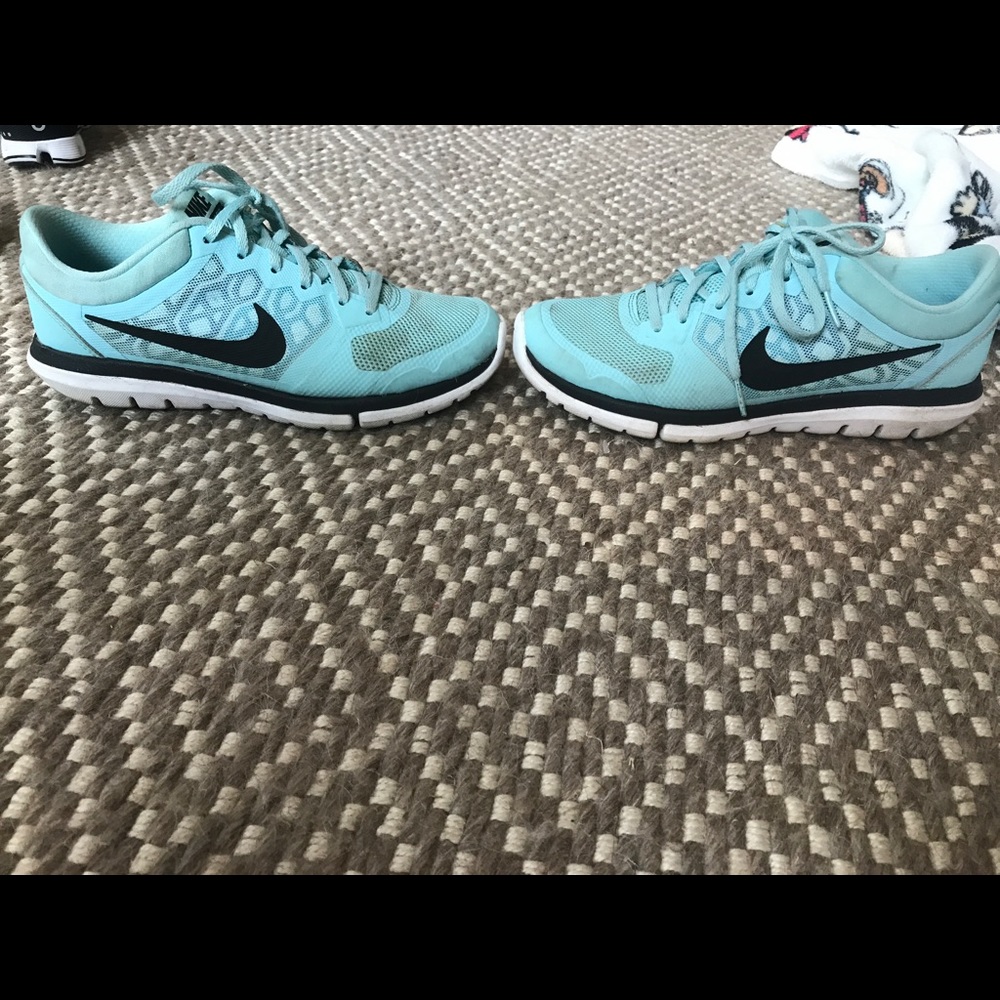 Blue Nike Flex Run 2015 Shoes